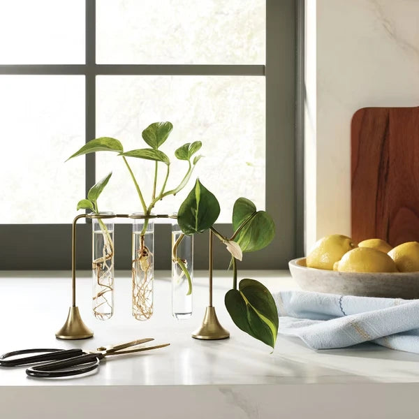 Sunroom Propagation Vase Set – view 3